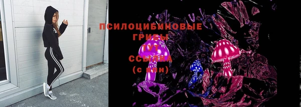 крисы Арсеньев