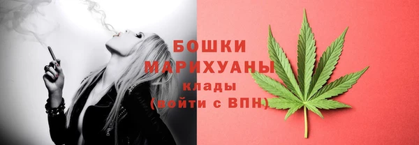 крисы Арсеньев
