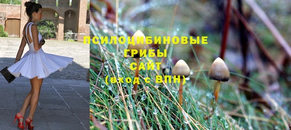 хмурый Армянск